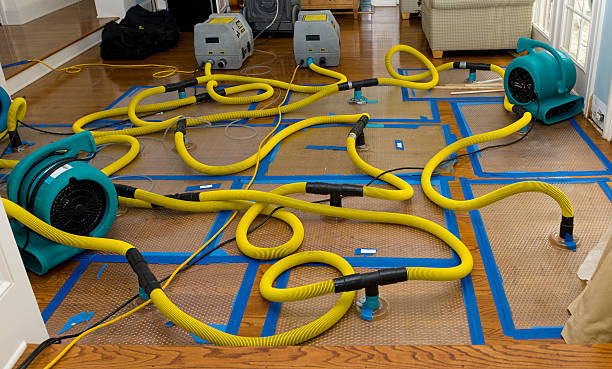Professional Basement Flood Cleanup technician working in Oro Grande, CA
